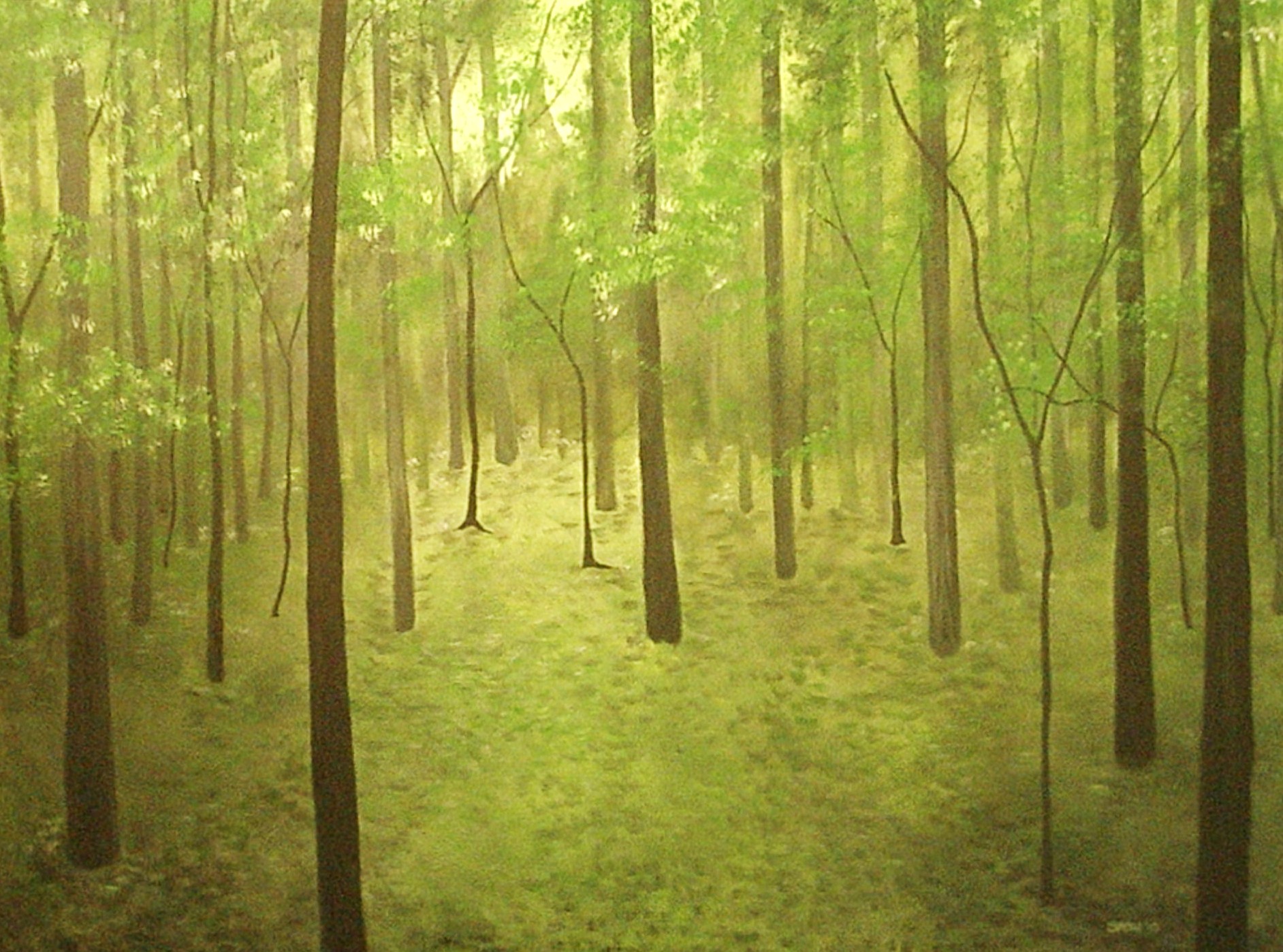 The Glade